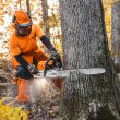 STIHL MS 462 R C-M