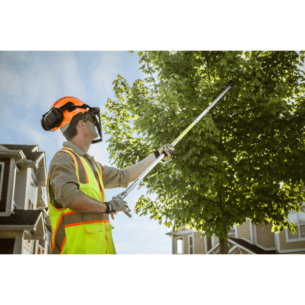 STIHL PP 101 Long Reach Pruner